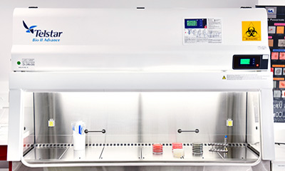 ISOLAB - Hotte flux laminaire bacterio